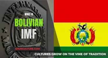 Bolivia's IMF Deal: What's the Story?