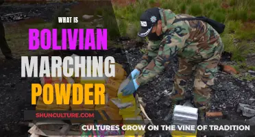 Bolivian Marching Powder: The Drug's History and Effects