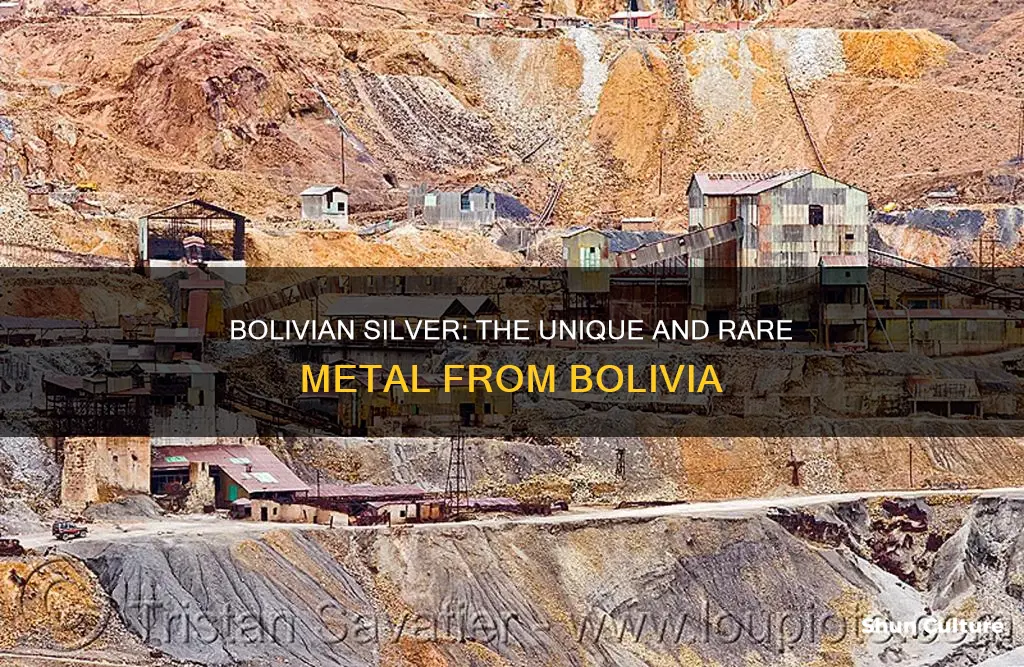 what is bolivian silver