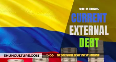 Bolivia's External Debt: Understanding the Country's Current Situation