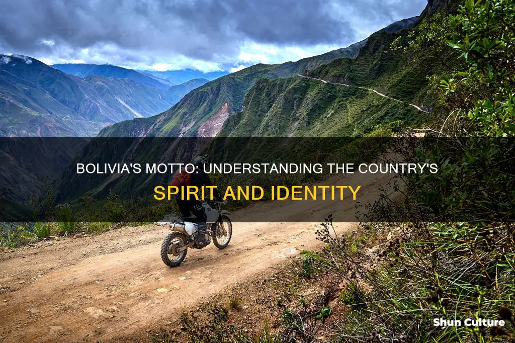 what is bolivias moto