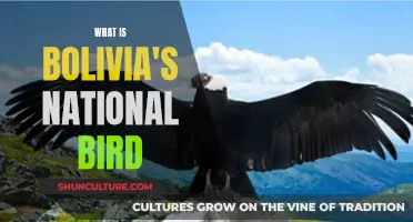 Bolivia's National Symbol: The Majestic Condor's Significance