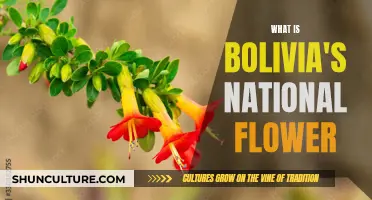 Bolivia's Pride: The Iconic Cantuta Flower