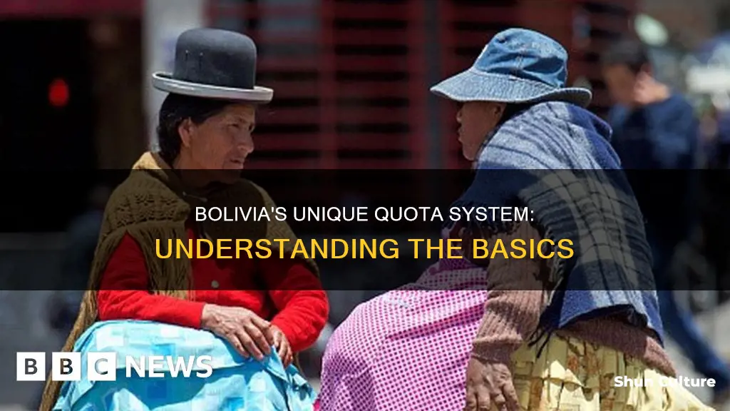 what is bolivia