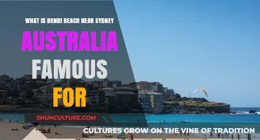 Bondi Beach: Sydney's Iconic Surf, Culture, and Coastal Paradise