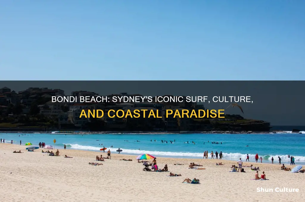 what is bondi beach near sydney australia famous for