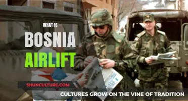 Understanding the Bosnia Airlift: A Humanitarian Mission to Save Lives