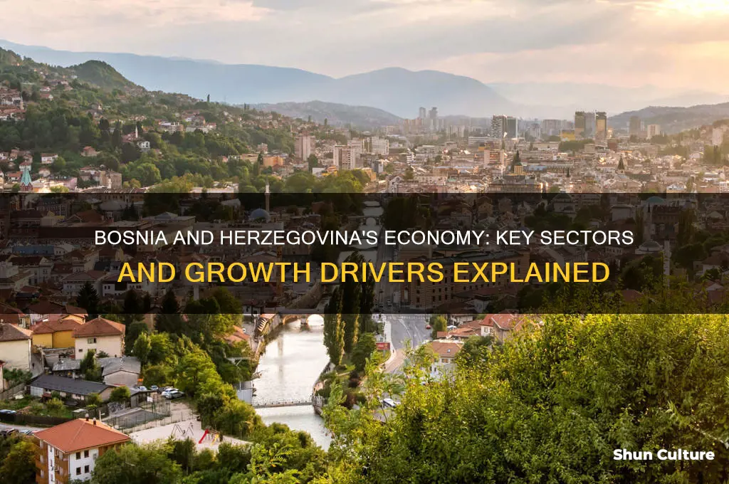 what is bosnia and herzegovina economy based on