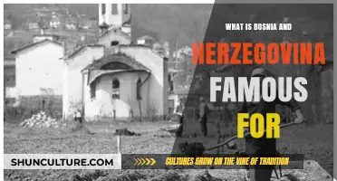 Bosnia and Herzegovina's Rich Culture, History, and Natural Wonders Explored