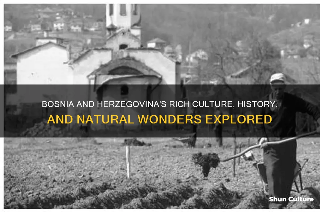 what is bosnia and herzegovina famous for