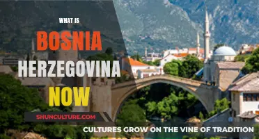 Bosnia and Herzegovina Today: Culture, Politics, and Economic Progress
