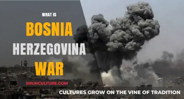 Understanding the Devastating Bosnia and Herzegovina War: Causes and Consequences