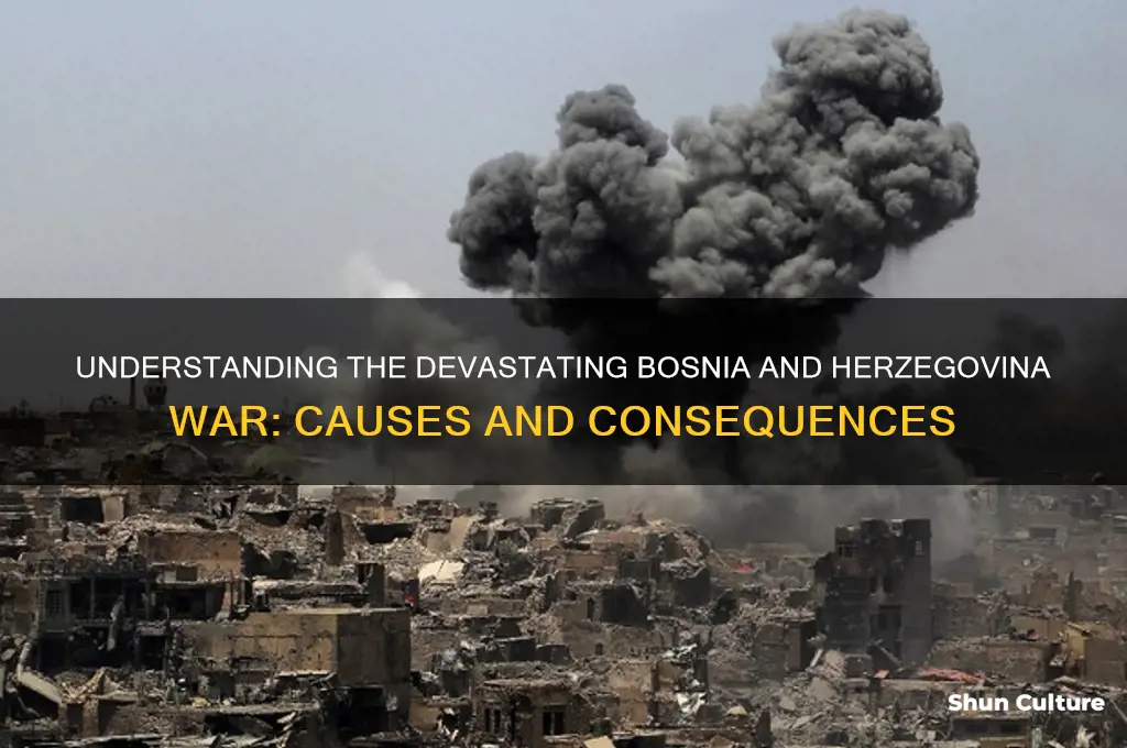 what is bosnia herzegovina war