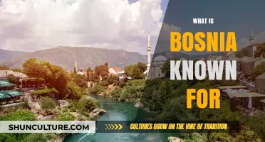 Bosnia's Rich Heritage: Culture, History, and Natural Wonders Explored