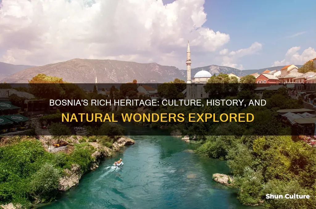 what is bosnia known for