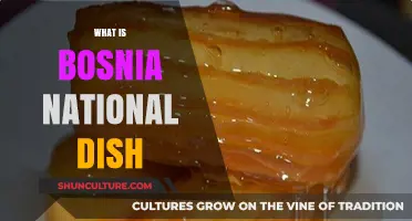 Discovering Bosnia's Beloved National Dish: A Culinary Journey