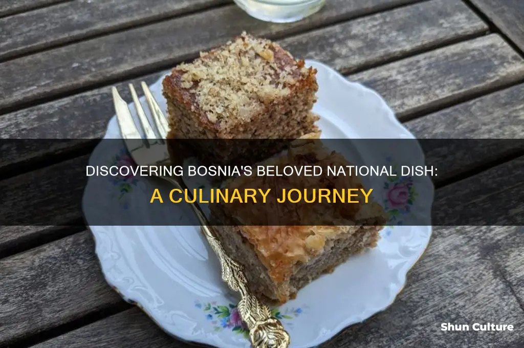 what is bosnia national dish