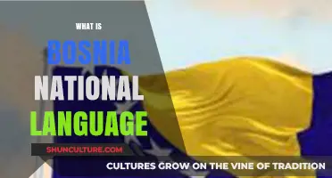 Exploring Bosnia's National Language: History, Usage, and Cultural Significance