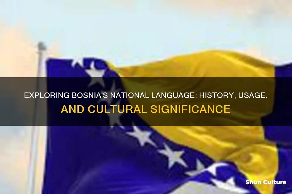 what is bosnia national language