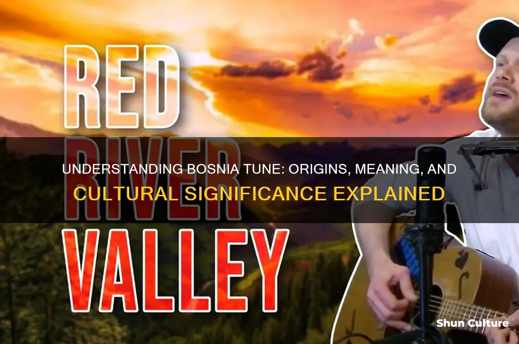 what is bosnia tune about