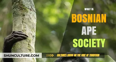 Exploring the Bosnian Ape Society: Origins, Culture, and Community Impact