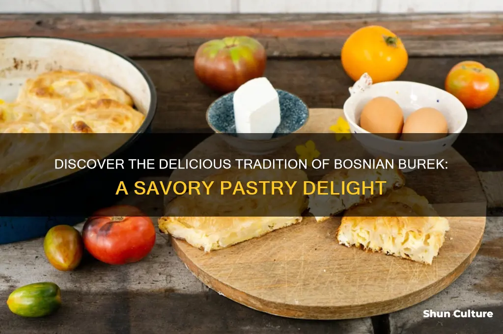 what is bosnian burek