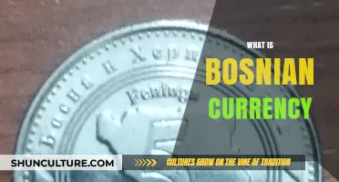 Understanding the Bosnian Mark: Currency, History, and Exchange Tips