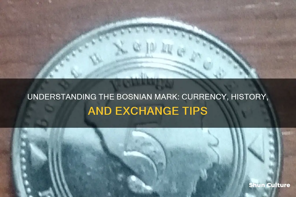 what is bosnian currency