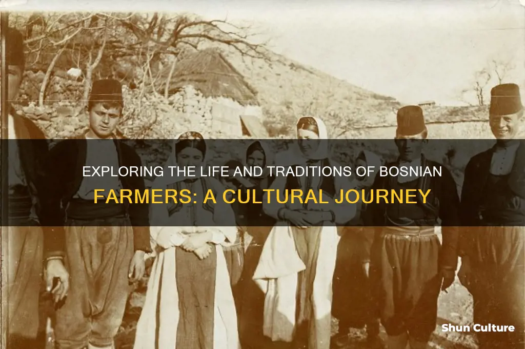 what is bosnian farmers