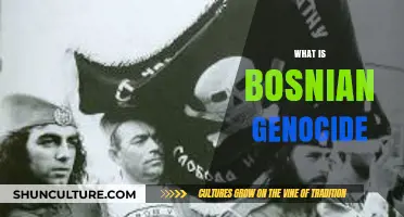 Understanding the Bosnian Genocide: Causes, Impact, and Historical Significance