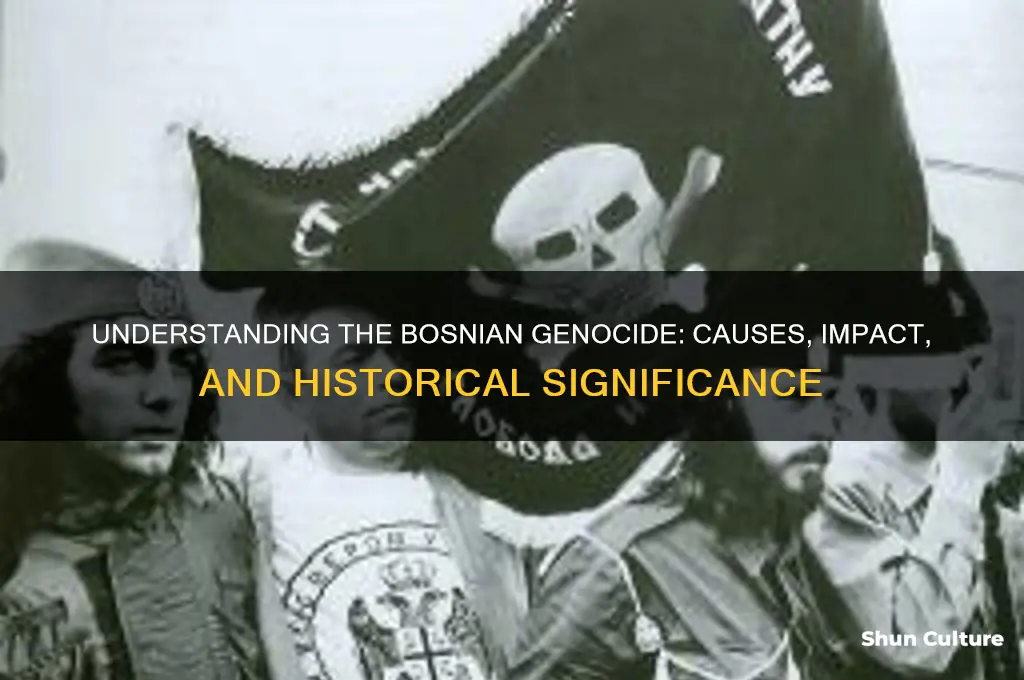 what is bosnian genocide