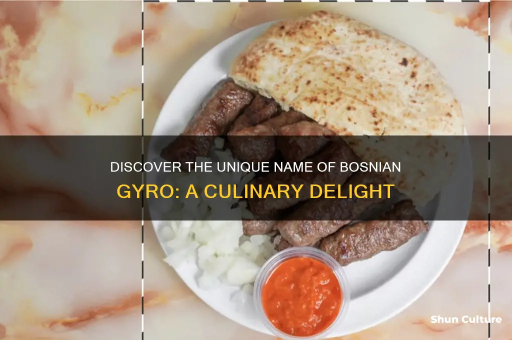 what is bosnian gyro called