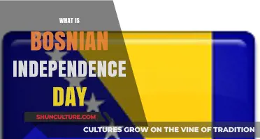 Understanding Bosnian Independence Day: History, Significance, and Celebrations