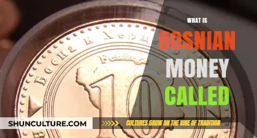 Understanding Bosnia and Herzegovina's Currency: What is Bosnian Money Called?