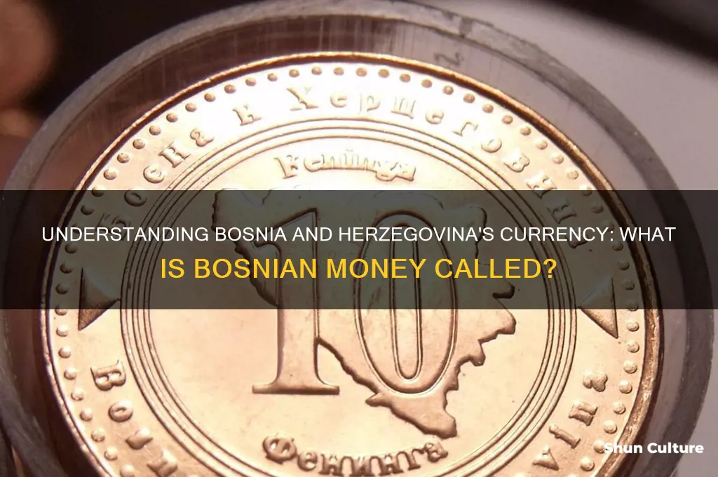 what is bosnian money called