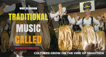 Exploring the Rich Heritage of Bosnian Traditional Music: Sevdalinka and Beyond