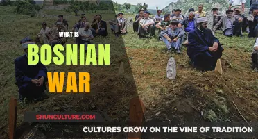 Understanding the Bosnian War: Causes, Conflict, and Consequences Explained