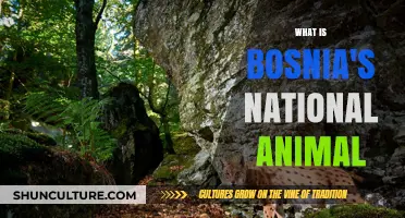 Bosnia's National Animal: The Majestic Lynx and Its Cultural Significance