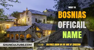 Bosnia's Official Name: Unraveling the Country's Formal Designation and History