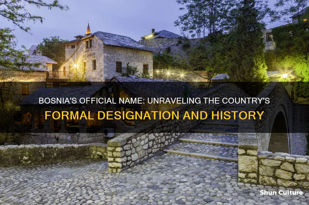 what is bosnias officail name