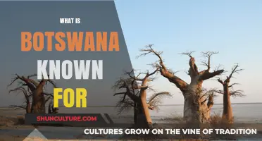 Botswana's Unique Culture, Wildlife, and Diamond Legacy Explored