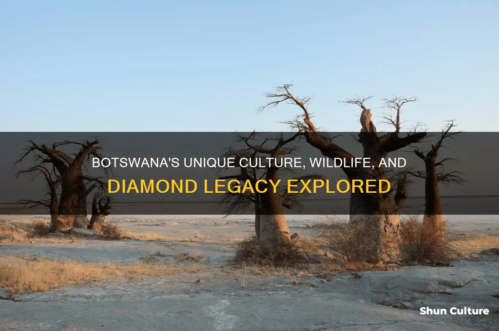 what is botswana known for