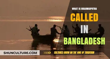 The Brahmaputra's Bangladeshi Identity: Exploring Its Local Name and Significance