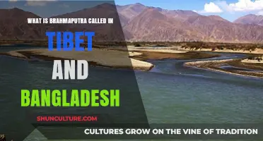 Brahmaputra's Journey: Names in Tibet and Bangladesh Explored