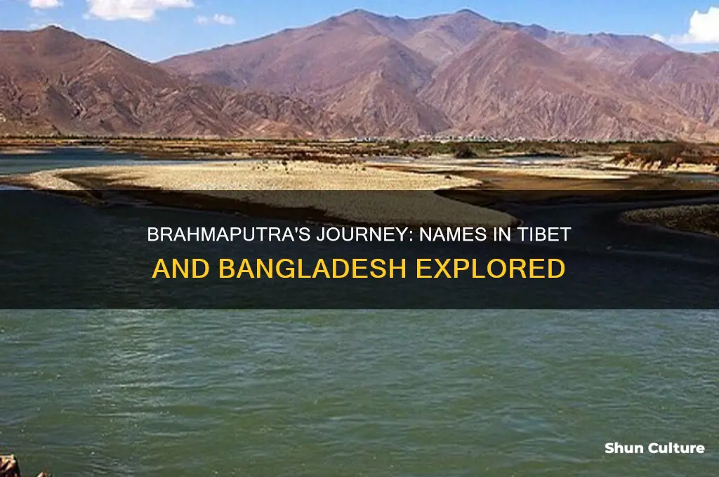 what is brahmaputra called in tibet and bangladesh