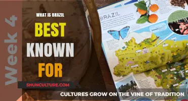 Brazil's Iconic Culture, Carnival, Soccer, and Amazon Rainforest Wonders