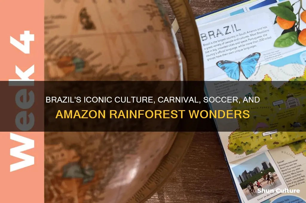 what is brazil best known for