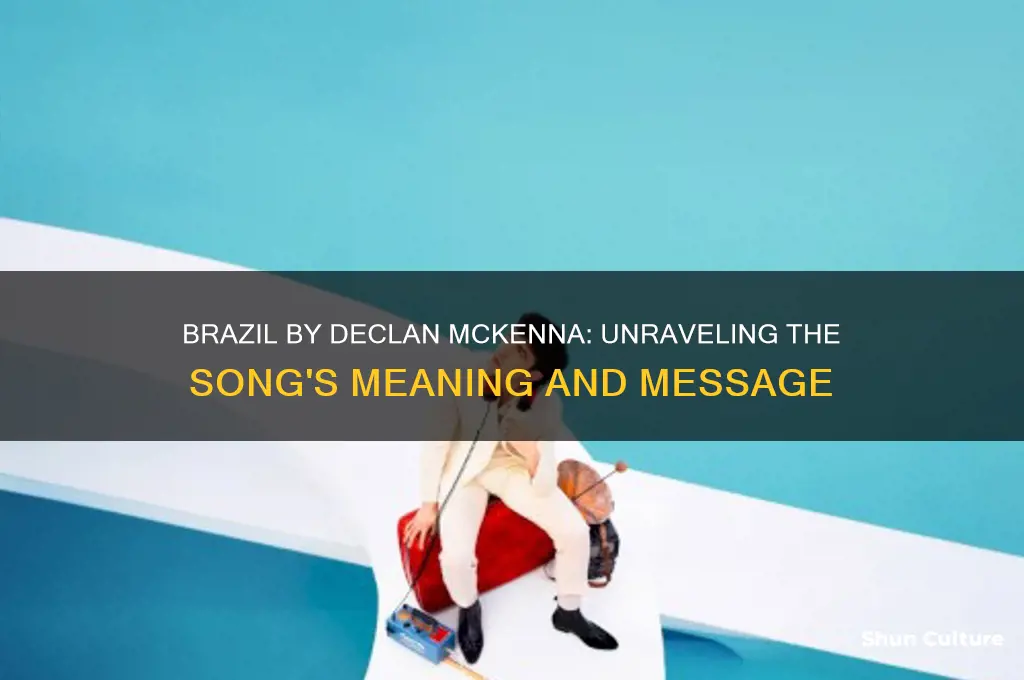 what is brazil by declan mckenna about