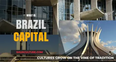 Discovering Brazil's Capital: Unveiling the Heart of Brasília's Culture