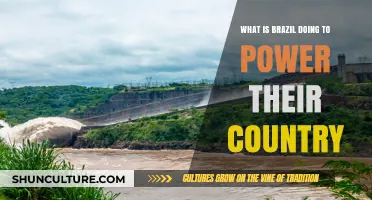 Brazil's Energy Revolution: Sustainable Power Strategies for a Greener Future
